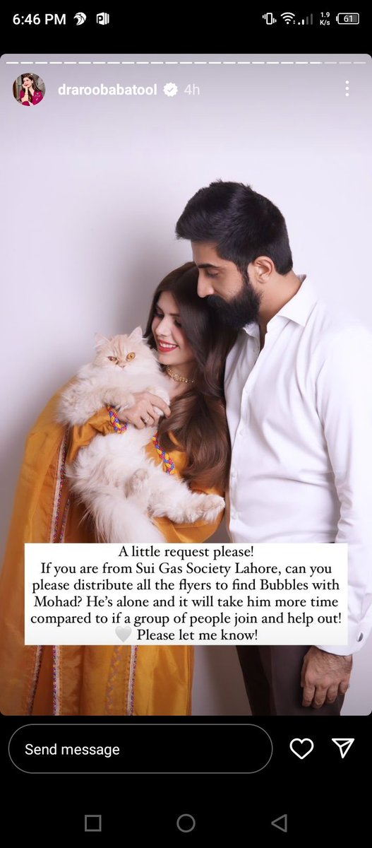 ItsMahikhan's tweet photo. Please retweet to make someone find their family (cat) https://t.co/iPBrKwqrIM
