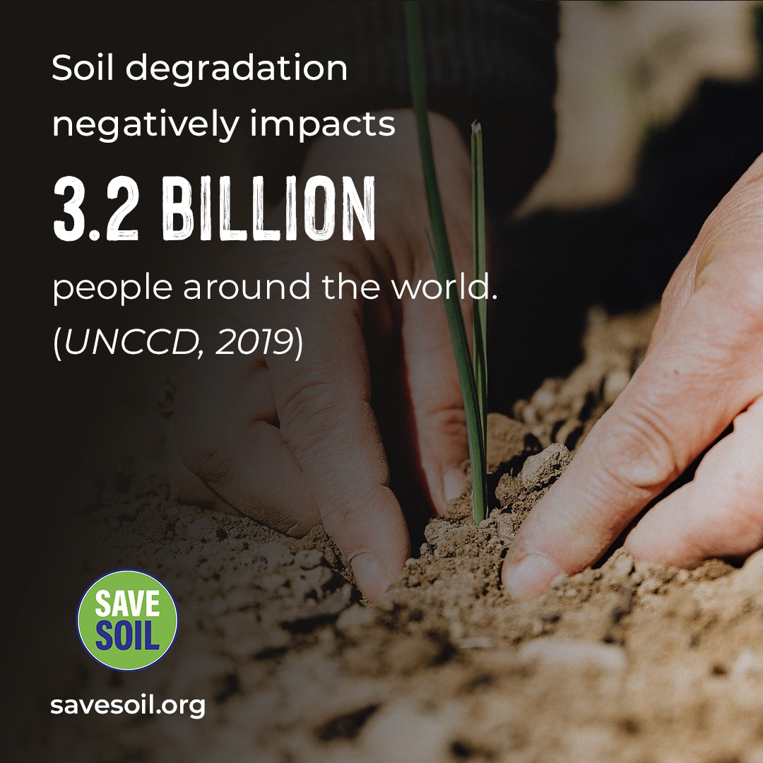 KumarSrivastwa's tweet photo. From 1930 to 1980, nutrient levels in our food dropped drastically due to soildepletion. Let's save soil to secure nutritious food for generations to come.#SoilForClimateAction https://t.co/99KaxX1PJw