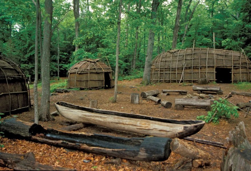 PocketSights tweet media