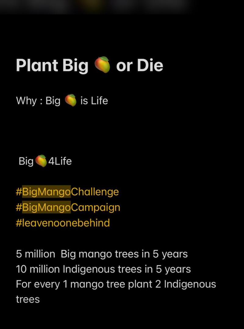 Mangocampaign's tweet photo. https://t.co/Nj0KK5X4cU
