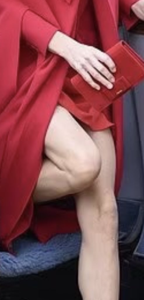BaronessBruck's tweet photo. @Tatlermagazine Are you kidding⁉️ Kate provided the Korean President a “masterclass” in dishabille & exhibitionism 🤭🤭🤭
#Flashing #PeepShow #Tease #HitchUp https://t.co/Tg4sZcgLIP