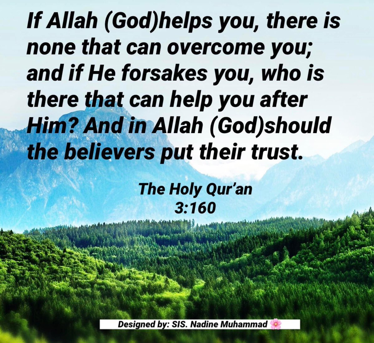 NadineMuhammad tweet picture