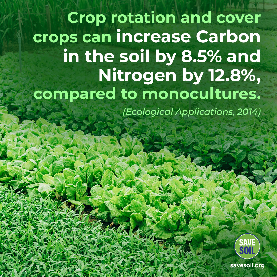 sree_go's tweet photo. #SoilForClimateAction https://t.co/cuXM32MG4O