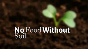 MaaAhi_SaveSoil's tweet photo. Right now, the most important aspect of conserving nature is the soil. If we do not stop soil degradation, the planet will not be conducive for human beings to live upon it ~@SadhguruJV 
No Food Without SOIL! Save Soil; Save Lifes!
#SoilForClimateAction https://t.co/BMDQRc6SDI