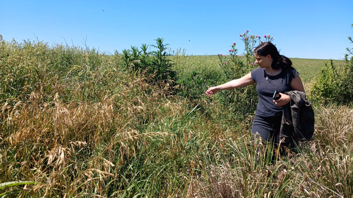 Ihlla1985's tweet photo. Las Dras. Guadalupe Ares y Natalia Vercelli, la Lic. Camila Gregorini, becaria doctoral del CONICET y Yamilé Irazabal, estudiante del Profesorado de Biología de la Facultad de Agronomía (UNICEN), realizaron recorrida en áreas de afloramiento rocoso en la cuenca del arroyo Videla https://t.co/bZVV6Rk4De