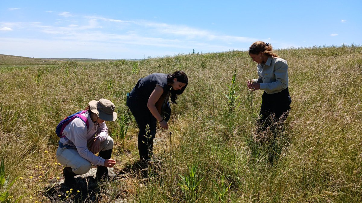 Ihlla1985's tweet photo. Las Dras. Guadalupe Ares y Natalia Vercelli, la Lic. Camila Gregorini, becaria doctoral del CONICET y Yamilé Irazabal, estudiante del Profesorado de Biología de la Facultad de Agronomía (UNICEN), realizaron recorrida en áreas de afloramiento rocoso en la cuenca del arroyo Videla https://t.co/bZVV6Rk4De