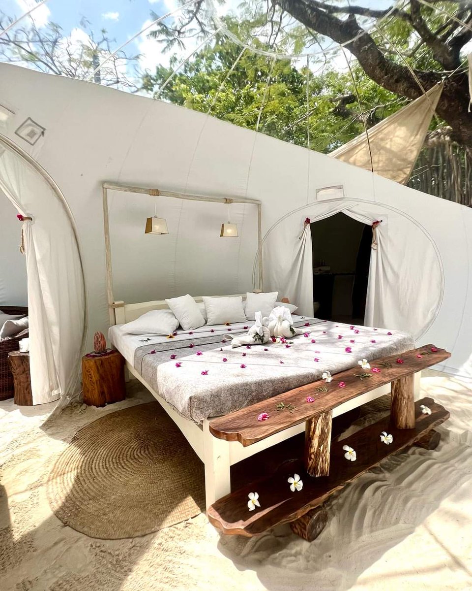 balutraveltd's tweet photo. Rock and Sea Resort📍 Watamu 🏝️
Lagoon Bubble Lodge
#bubblehotelkenya #tuesdayvibe #bubblehotel #seaview #bubblelodge #luxuryecolodge #therockandsea #luxury #rockandsearesort #kenya #watamu #honeymoon #explore #midacreekwatamu #midacreek #amazingviews #balutraveltd #Mombasa https://t.co/62Zpn2OKsu