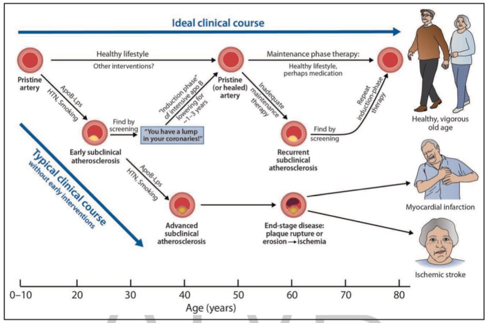 ☝️If you want to read and learn the most basic and at the same time better updated lipidology, you must memorize every word of this manuscript

🙌“We must stop thinking of a heart attack as a disease. The real disease is atherosclerosis. An atherosclerotic heart attack is a…