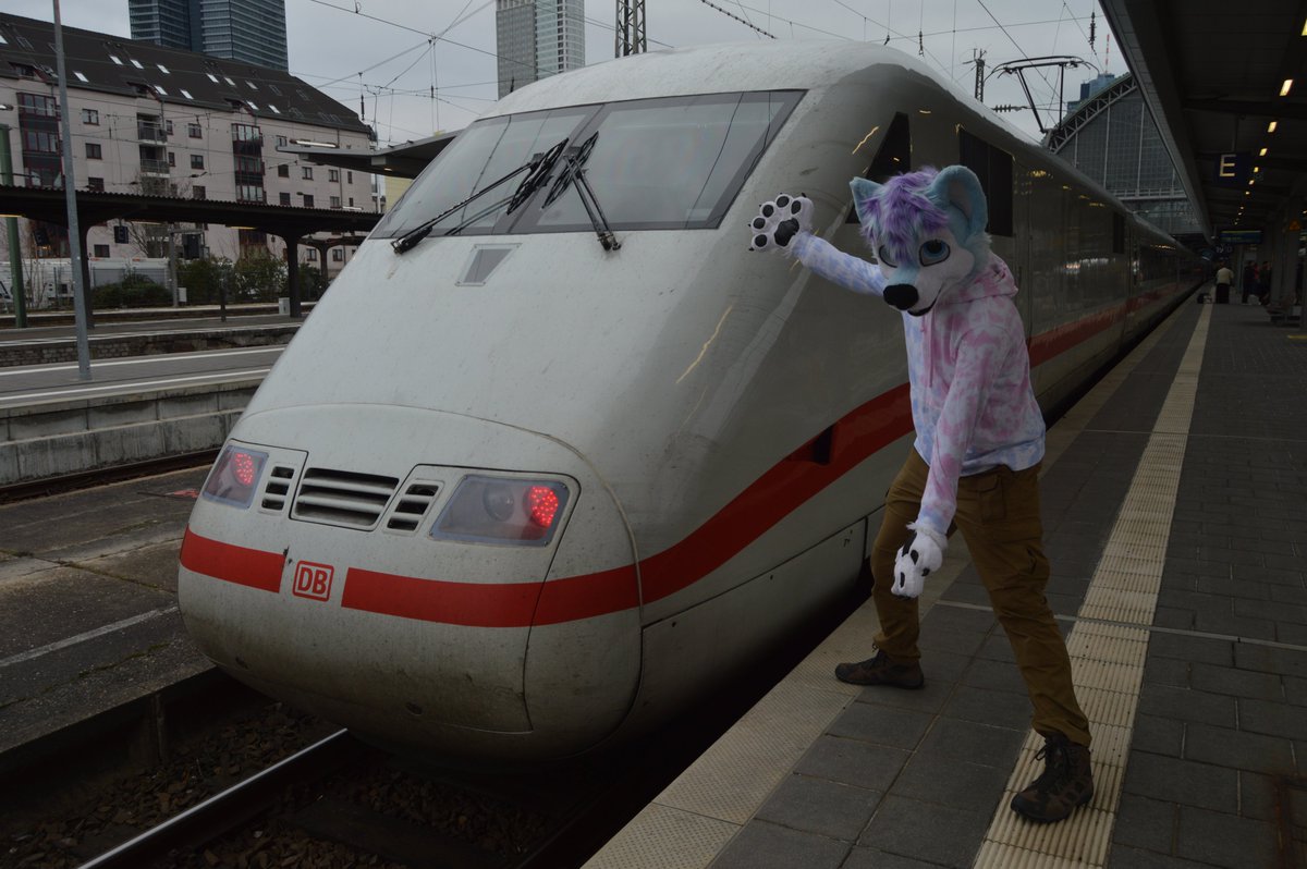 A Husky with his fav type of train a #DB ICE. Today with a ICE 1 the first of it's kind. Now over 30 years old and still running like day 1.