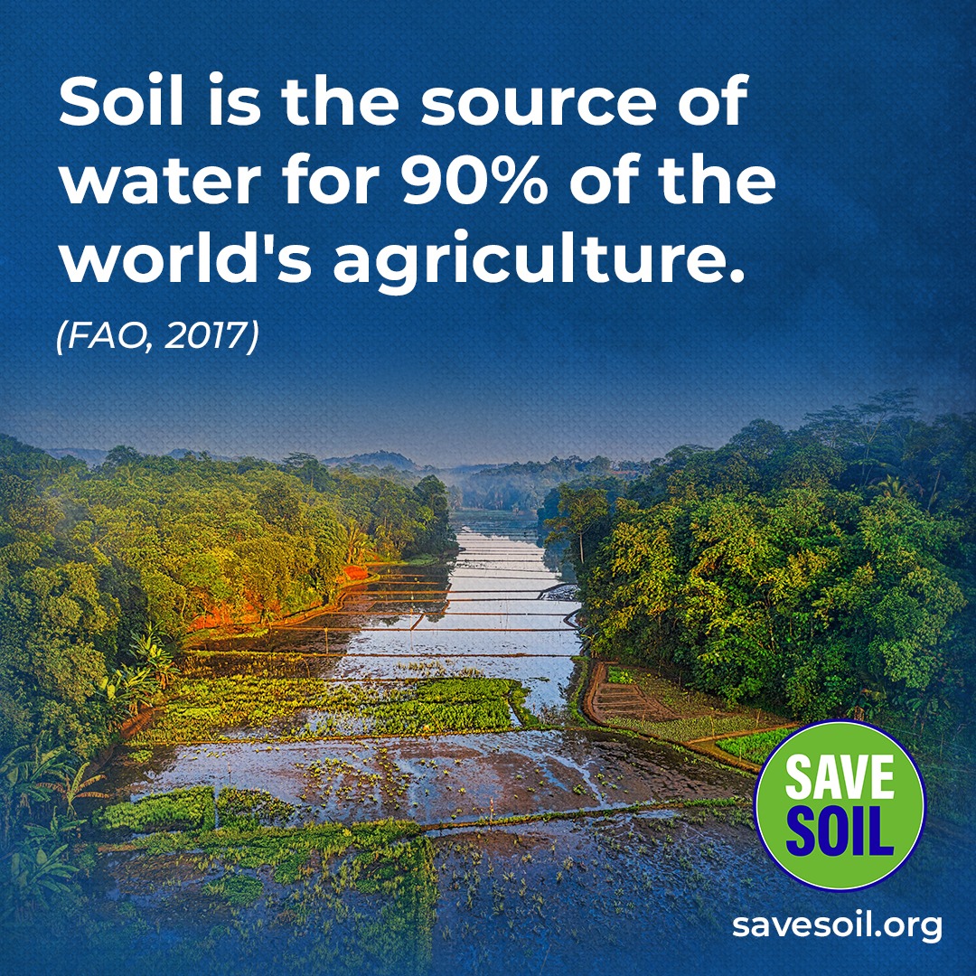 If the Soil is rich in Organic content it does wonders. You will notice how it absorbs and holds water and later you see rivers flowing 365 days a year. This can only happen if we Save our Soil #SoilForClimateAction #SaveSoil