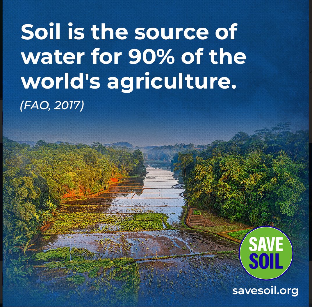 drleelareddy's tweet photo. #savesoilforclimateaction #worldsoilday https://t.co/s2xK7HyvlL