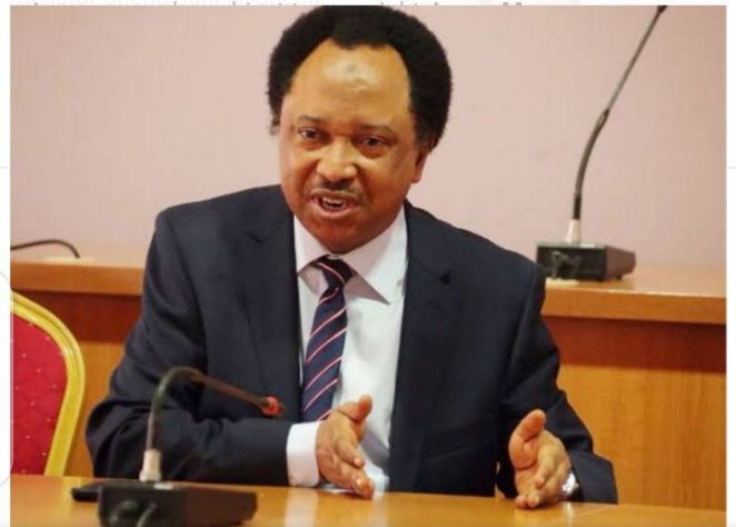 Realonline66265's tweet photo. Former Senator Shehu Sani voiced profound dismay and condemnation following the tragic events in a Kaduna village, where bombs were dropped on religious worshippers, resulting in a reported death toll of over 150 individuals. Sani labeled the act as ....

https://t.co/7GQWmT3Q82 https://t.co/QONzPOroy6