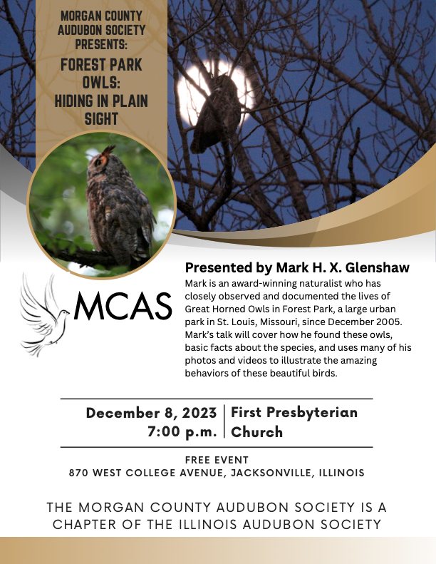 Please join me in Jacksonville, IL this Fri 12/8 to learn all about the Great Horned Owls I study-it's FREE &amp; open to all! fb.me/e/2L85VDNnc <a href="/wldsnews/">WLDS News</a> <a href="/jaxilcvb/">Jacksonville CVB</a> <a href="/IllinoisAudubon/">Illinois Audubon</a>  <a href="/journalcourier/">Journal-Courier</a> <a href="/JaxMainStreet/">Jacksonville Main Street</a> <a href="/ictrueblue/">Illinois College</a> <a href="/NWSLincolnIL/">NWS Lincoln IL</a> <a href="/INHSillinois/">Illinois Natural History Survey</a> <a href="/Nature_IL/">TNC in Illinois</a> <a href="/SierraClubIL/">Illinois Sierra Club</a>