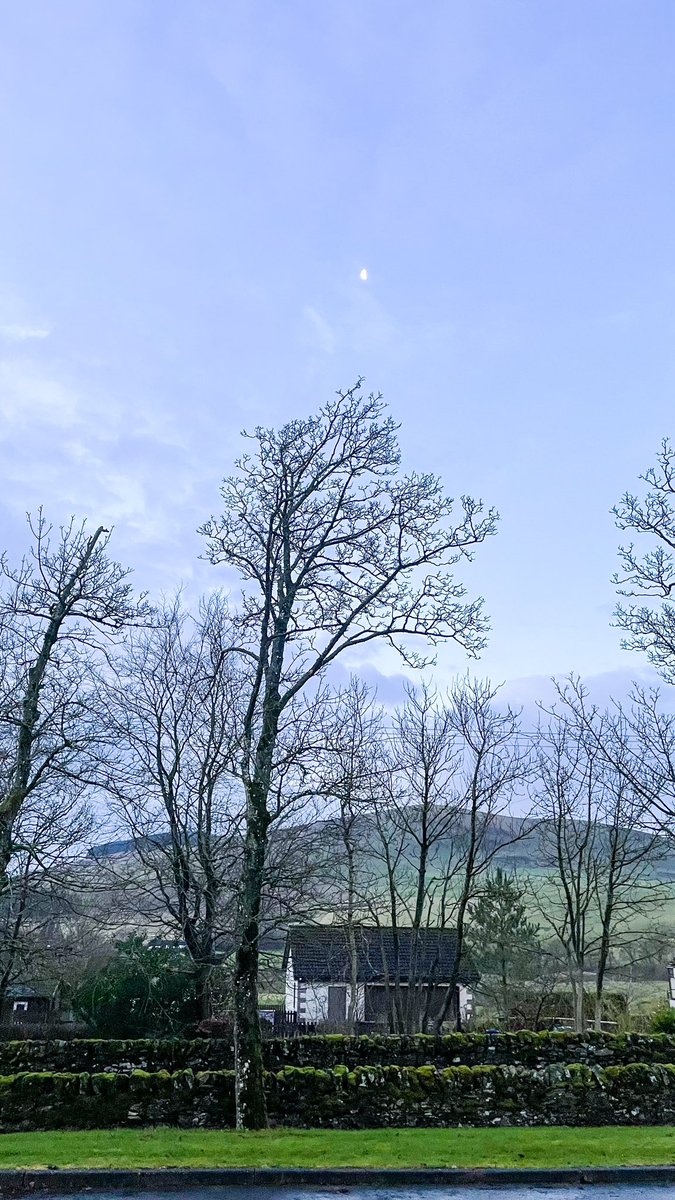 Adella@Wilsonphotography tweet media