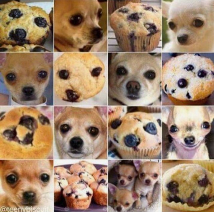 DolnyMokotow's tweet photo. Na piątek planuję #MUFFINKI.
Która podoba się Wam najbardziej?
😂 https://t.co/kJDHPcOELY