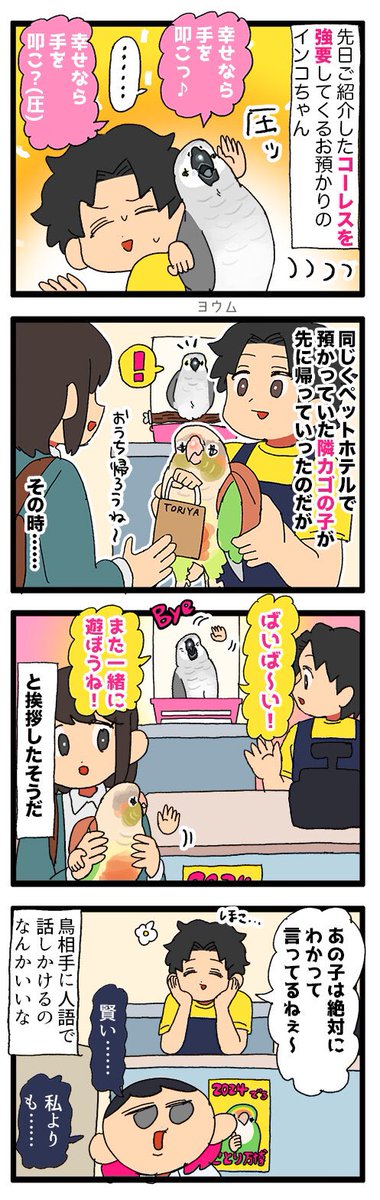 lpo_on's tweet photo. ペットホテルでやってきたインコちゃん、他のお家の子にも元気よく挨拶してた🖐️🦜

974 #えるポピの絵日記かくところ https://t.co/odBn85B9fh