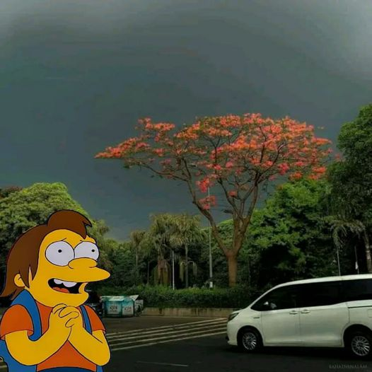 Cuando salís afuera y ves que está nublado y fresquito