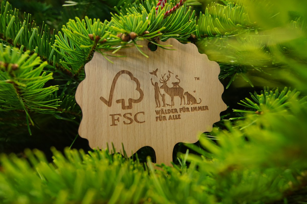 🎄✨ Entscheide dich dieses Jahr für einen FSC-zertifizierten Weihnachtsbaum aus verantwortungsvoller Forstwirtschaft. Keine Pestizide, keine  synthetischen Düngemittel - nur pure, grüne Weihnachtsfreude!
➡️fsc-deutschland.de/gruene-weihnac…