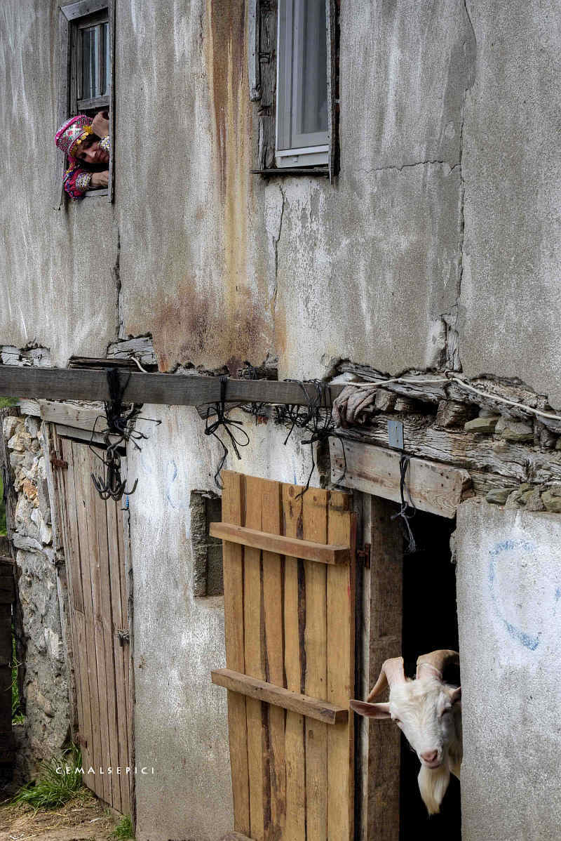 Kapının varlığını unutturdular bize Farklı pencereden bakmamızı söyleyenler