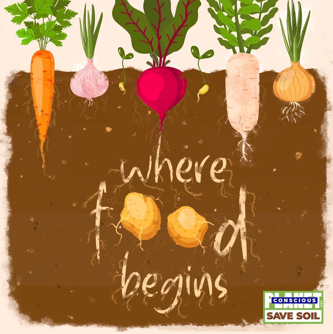 newSateesh's tweet photo. Need to know where from our food comes

#SoilForClimateAction https://t.co/VVEbIwWrY3