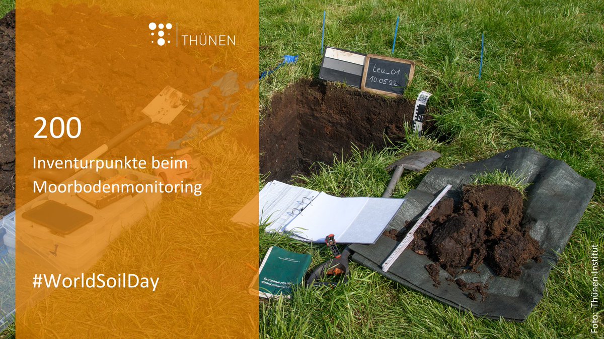 Thünen-Institut (@thuenen_aktuell) on Twitter photo Moorböden im Blick: Entwässerte #Moor|böden sind Hotspots für CO2-Emissionen. Wie diese auf das #Klima wirken, erfassen <a href="/ThuenenPeat/">ThünenPeat</a> u. @ThuenenW durch das 1. Moorboden|#monitoring in 🇩🇪. Rund die Hälfte von 200 Messpunkten sind eingerichtet!
#Weltbodentag
thuenen.de/de/themenfelde… Moorböden im Blick: Entwässerte #Moor|böden sind Hotspots für CO2-Emissionen. Wie diese auf das #Klima wirken, erfassen <a href="/ThuenenPeat/">ThünenPeat</a> u. @ThuenenW durch das 1. Moorboden|#monitoring in 🇩🇪. Rund die Hälfte von 200 Messpunkten sind eingerichtet!
#Weltbodentag
thuenen.de/de/themenfelde…
