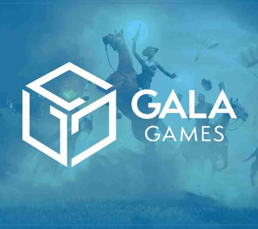 Alex Becker 🍊🏆🥇 tweet media