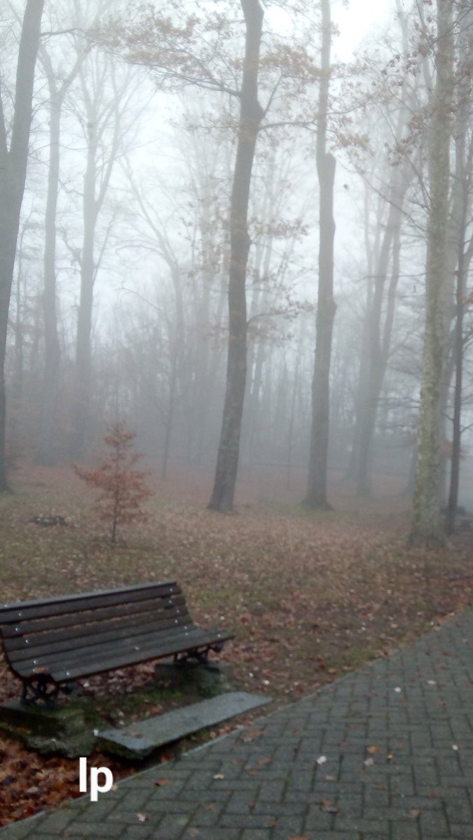 _elysian32's tweet image. Quote with aesthetic media!!🤍