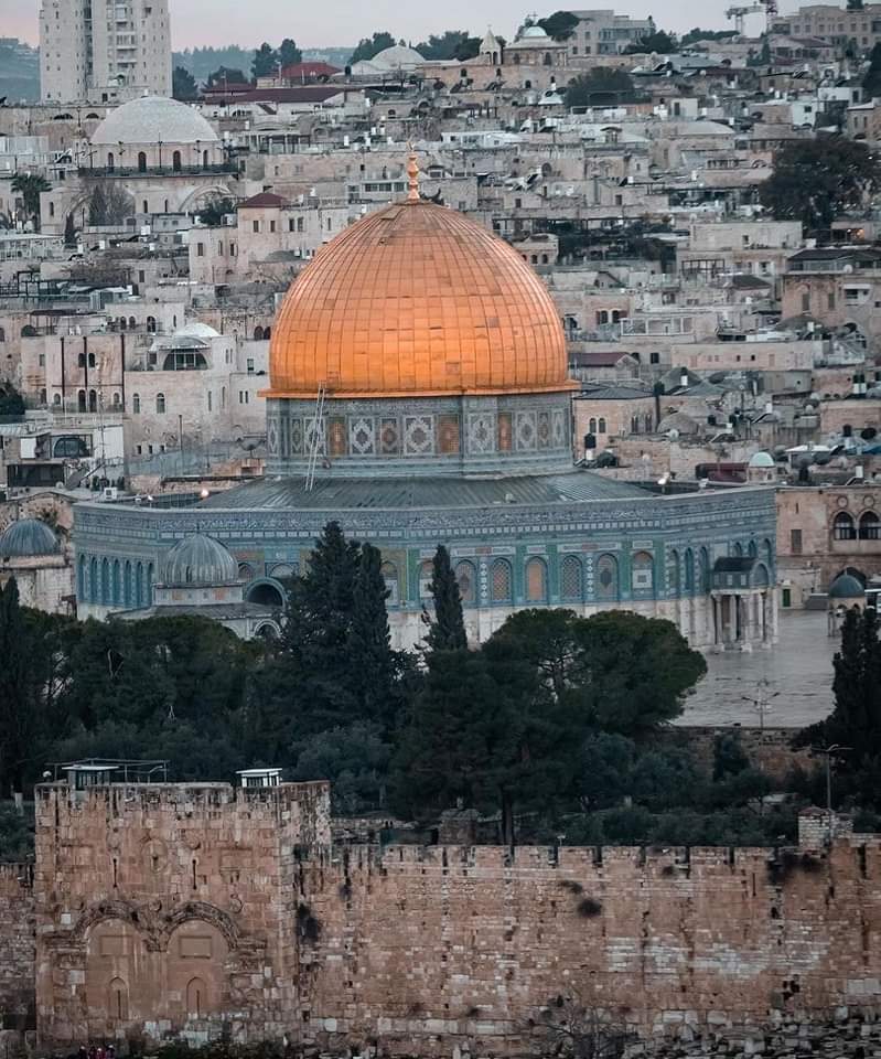 لكي النصر انشاء الله