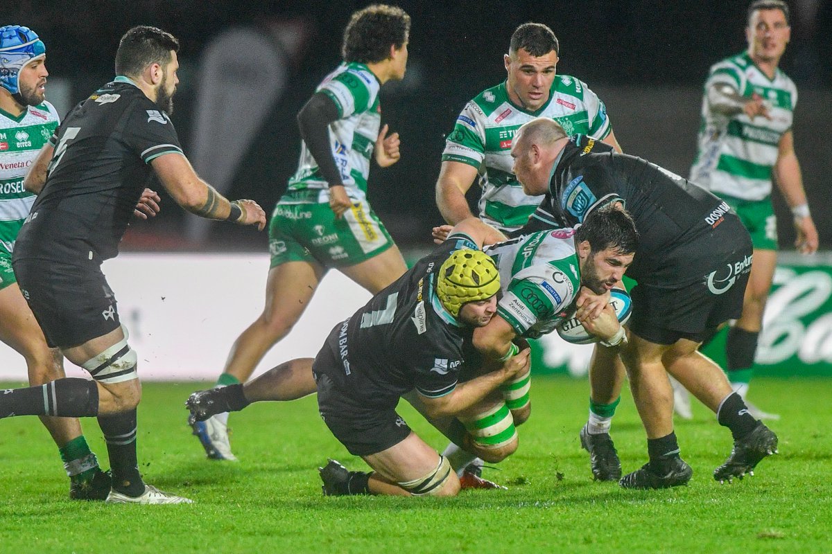 Ospreys tweet media