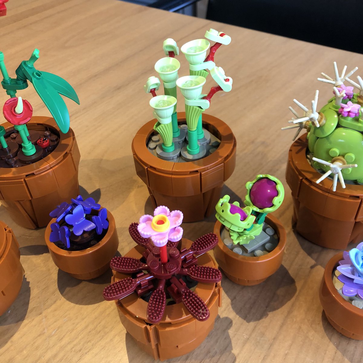 Rixt058's tweet photo. Lego icons mini plants🪴🌸

#lego #legoicons #legoflower #legoflowers #legominiplants #legoplants #legofan https://t.co/7SYt9fzqKF