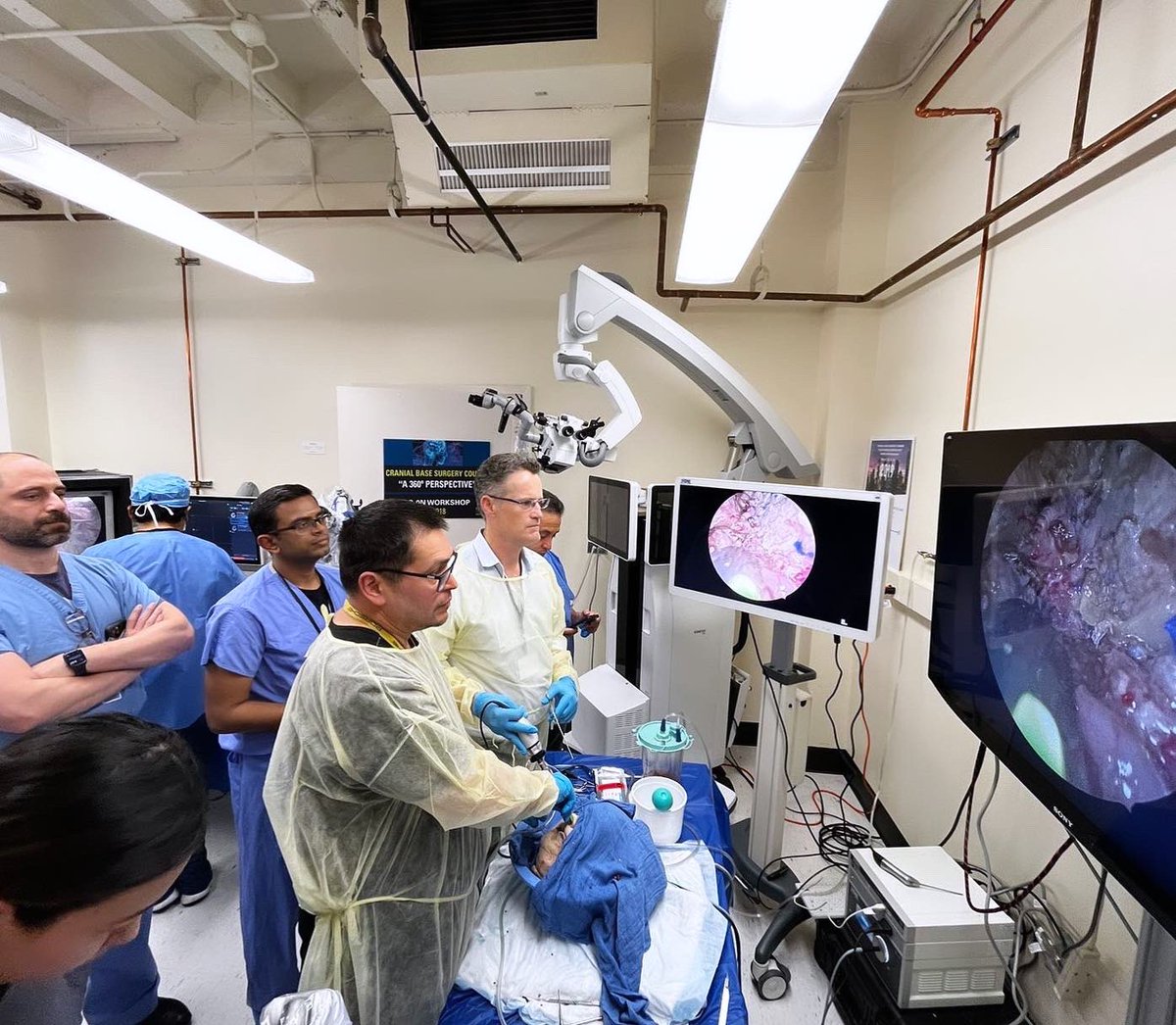 Emory Skull Base Surgery (@emoryskullbase) on Twitter photo Skull Base Course 2023 wrap-up! Kudos to the incredible speakers, participants, and organizing team for making this a transformative learning experience! ✅
<a href="/gpradil2/">Gustavo Pradilla</a> <a href="/GarzonMuvdi/">Tomas Garzon-Muvdi</a> <a href="/edoardoporto/">Edoardo Porto, MD</a> <a href="/alerodas23/">Alejandra Rodas, MD</a> <a href="/ManuRevuelta/">Manu Revuelta, MD, PhD</a> <a href="/Leonard_T_MD/">Leonardo Tariciotti, M.D.</a> <a href="/bkpatel1389/">Biren Patel</a> Skull Base Course 2023 wrap-up! Kudos to the incredible speakers, participants, and organizing team for making this a transformative learning experience! ✅
<a href="/gpradil2/">Gustavo Pradilla</a> <a href="/GarzonMuvdi/">Tomas Garzon-Muvdi</a> <a href="/edoardoporto/">Edoardo Porto, MD</a> <a href="/alerodas23/">Alejandra Rodas, MD</a> <a href="/ManuRevuelta/">Manu Revuelta, MD, PhD</a> <a href="/Leonard_T_MD/">Leonardo Tariciotti, M.D.</a> <a href="/bkpatel1389/">Biren Patel</a>