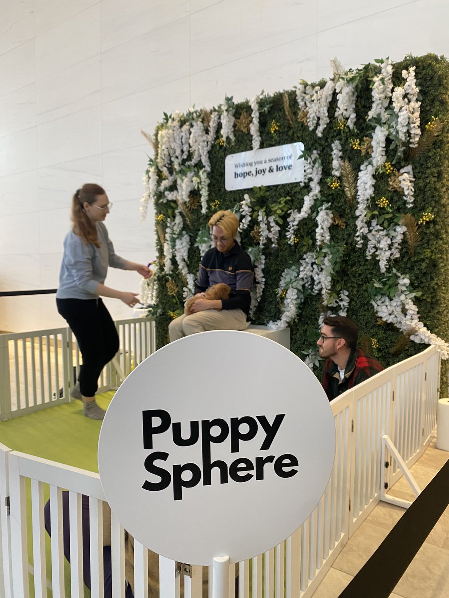 The Rostie Group (@rostiegroup) on Twitter photo Today, <a href="/OxfordPropGroup/">Oxford Properties Group</a> hosted a holiday photobooth featuring puppies from Puppysphere!
#rostieworkcommunity Today, <a href="/OxfordPropGroup/">Oxford Properties Group</a> hosted a holiday photobooth featuring puppies from Puppysphere!
#rostieworkcommunity