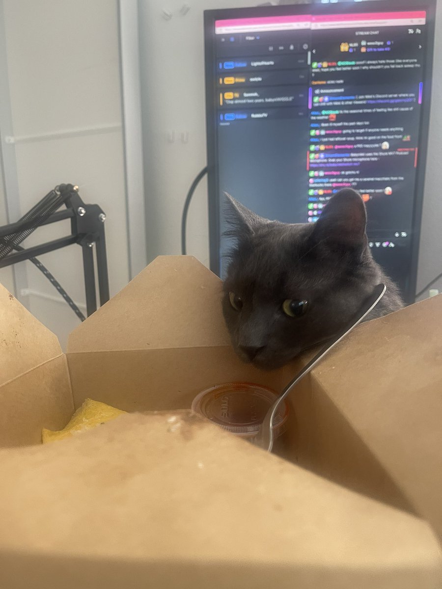 sweetdreams's tweet photo. Nothing particularly witty to write today. Please enjoy these two pictures of Bolt: 

Live on twitch! https://t.co/SbpKx1uqcu