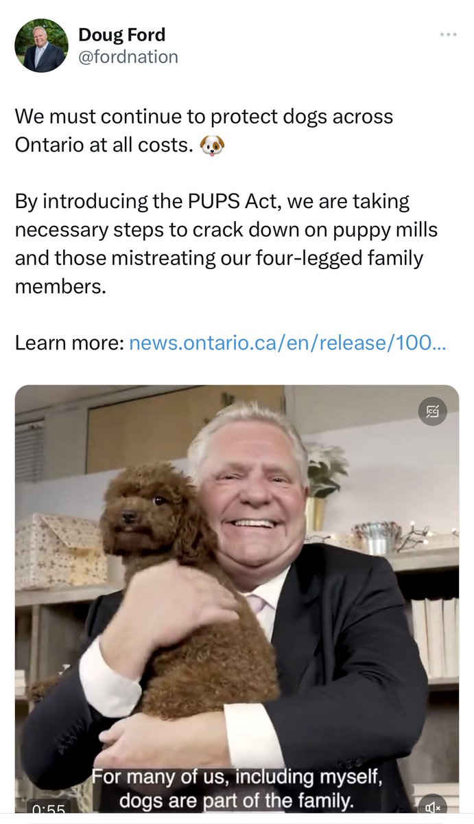 How it started                  How it’s going

This is truly a government #FurTheDogs 🐶