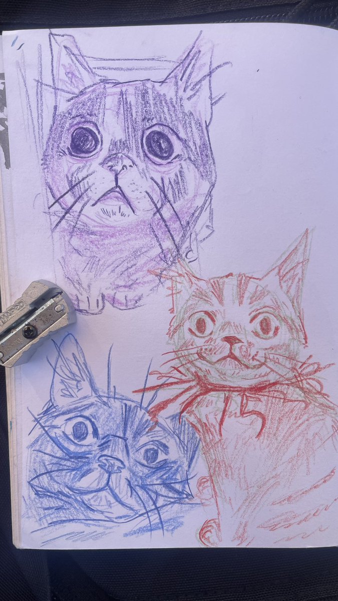 pulsarpluto's tweet image. Some cat sketches for a future gift :)