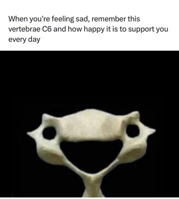 John Shields, MD, FAAOS (@jointdocshields) on Twitter photo 