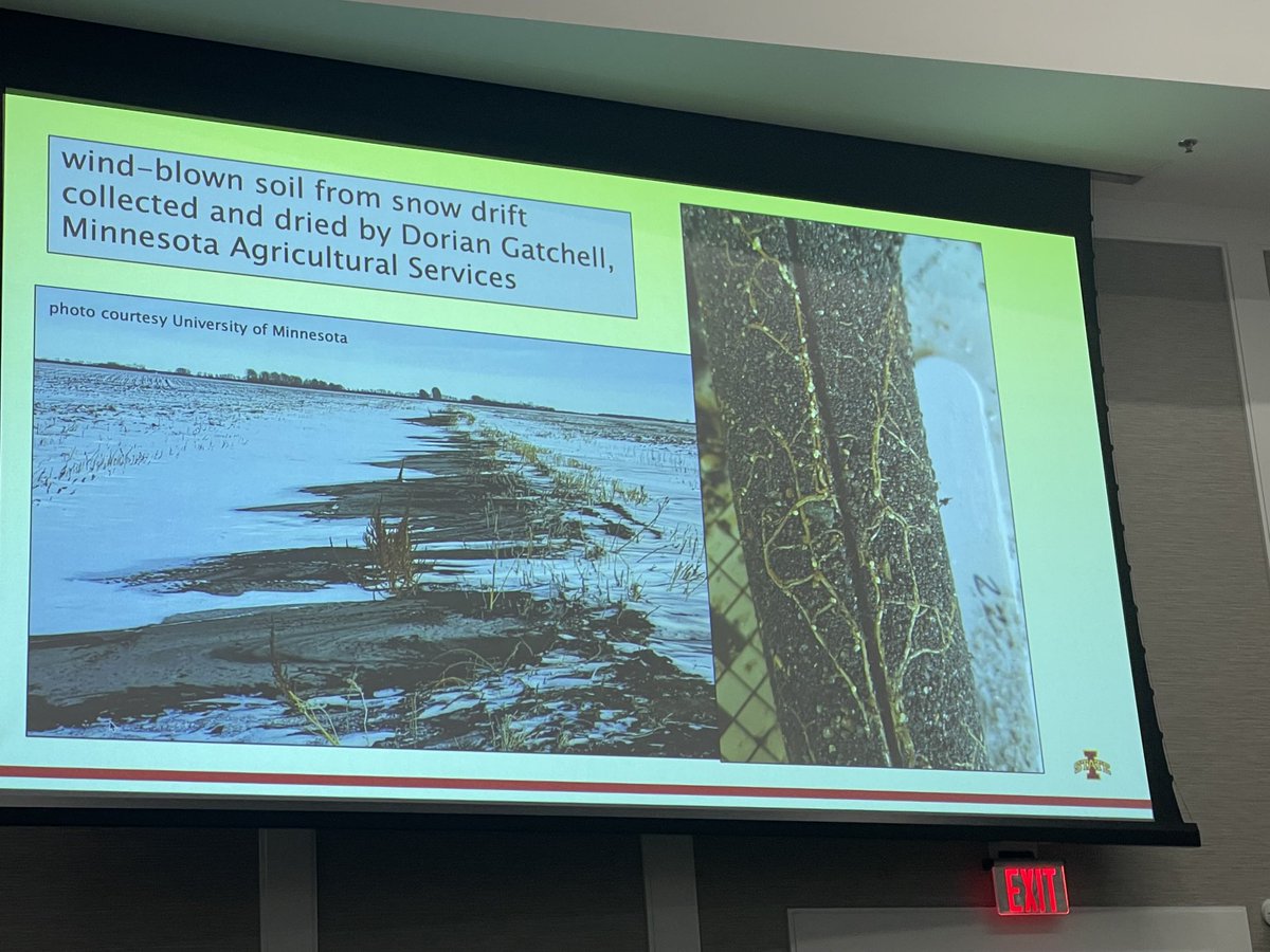 Alex Woodall tweet media