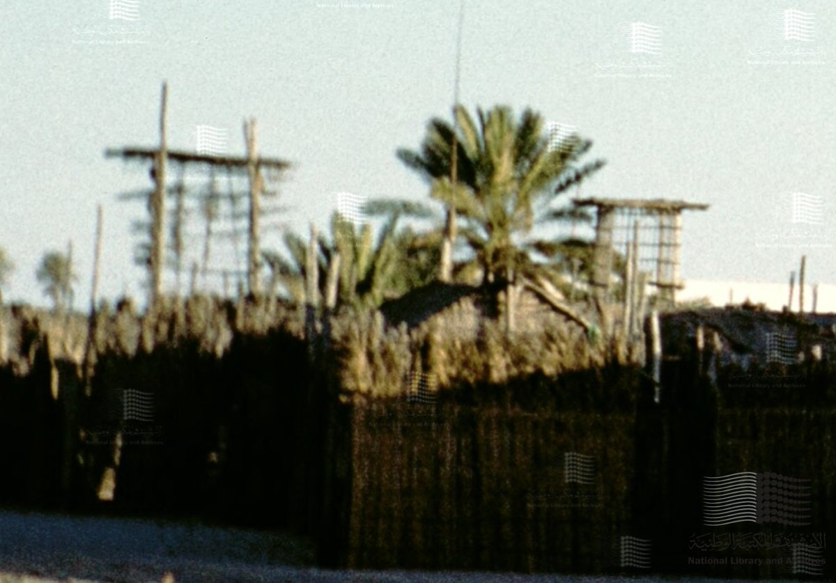ryjka's tweet photo. 1960年のアブダビの写真
wind towerが必要な機能として存在していた頃。
写真の背後に、工事中もしくはモチーフとしてのwind towerもこの時代から存在している。
興味深い。 https://t.co/KadMfoJmgx