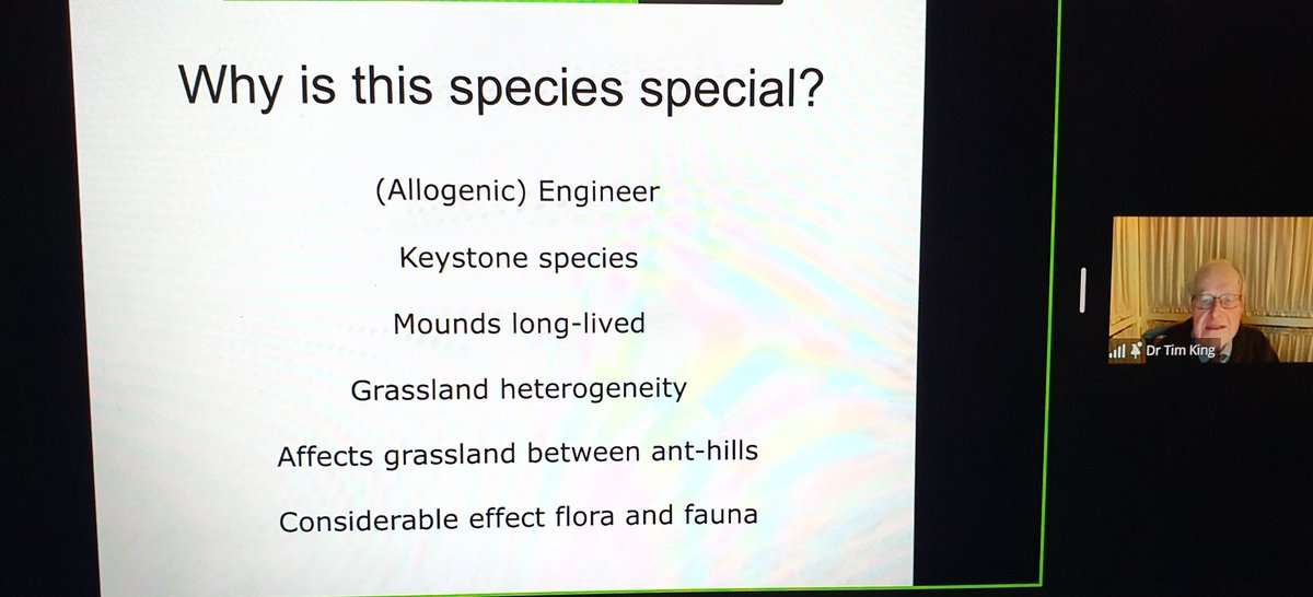 Looking forward to this talk about yellow meadow ants being hosted and organised by @KeironDBrown #entolive hooked by Dr Tim Kings talk within the first two slides. Definitely one to listen to if you're interested in grasslands and biodiversity @KingstonECE @KingstonUni