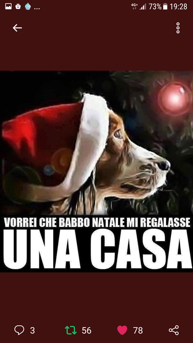 VORREI CHE BABBO NATALE, MI REGALASSE L'AMORE DI UNA FAMIGLIA ❤️🙏🎄🎁🎄♥️