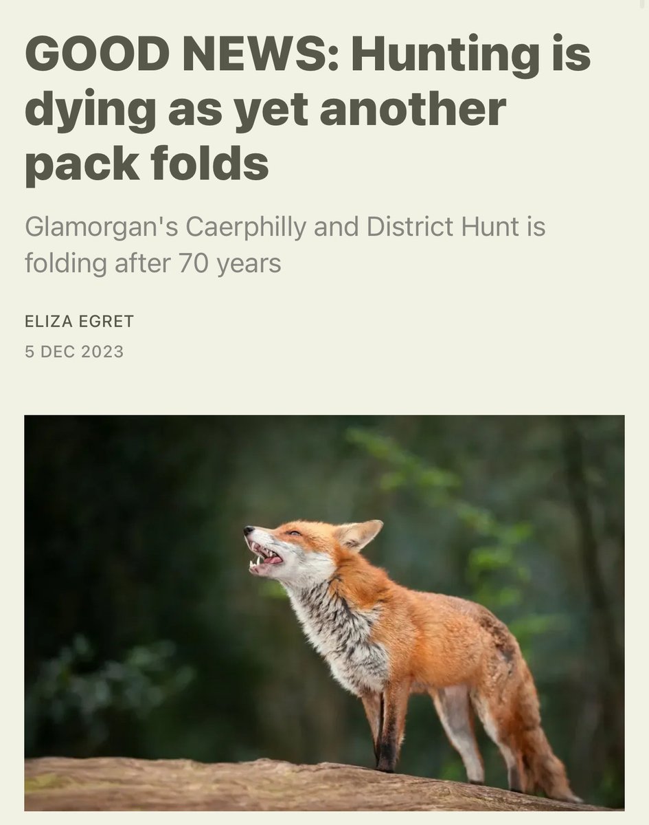 FOX HUNTING IS DYING - RT IF YOU LOVE TO SEE IT!