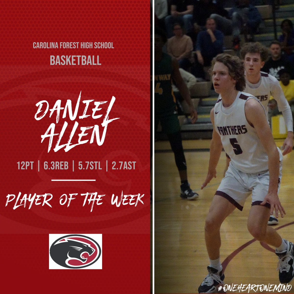 forest_carolina's tweet image. 