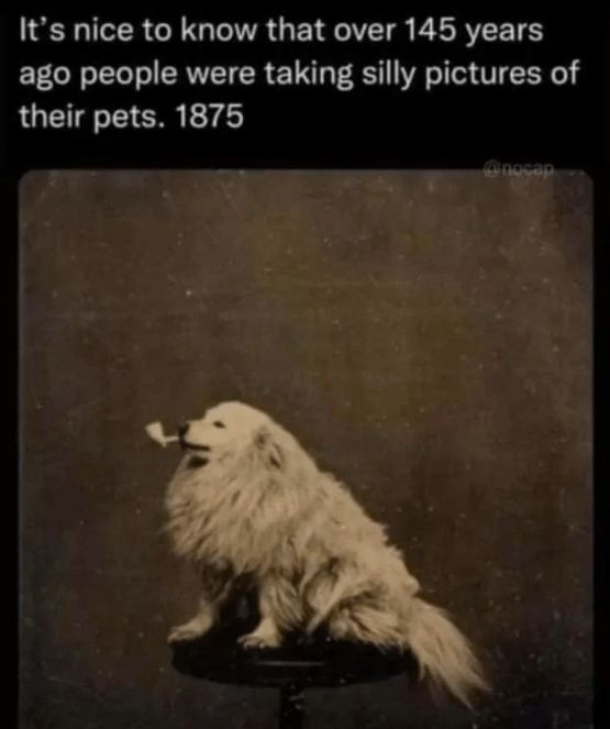 WholesomeMeme's tweet photo. https://t.co/8JFiAmhoM3