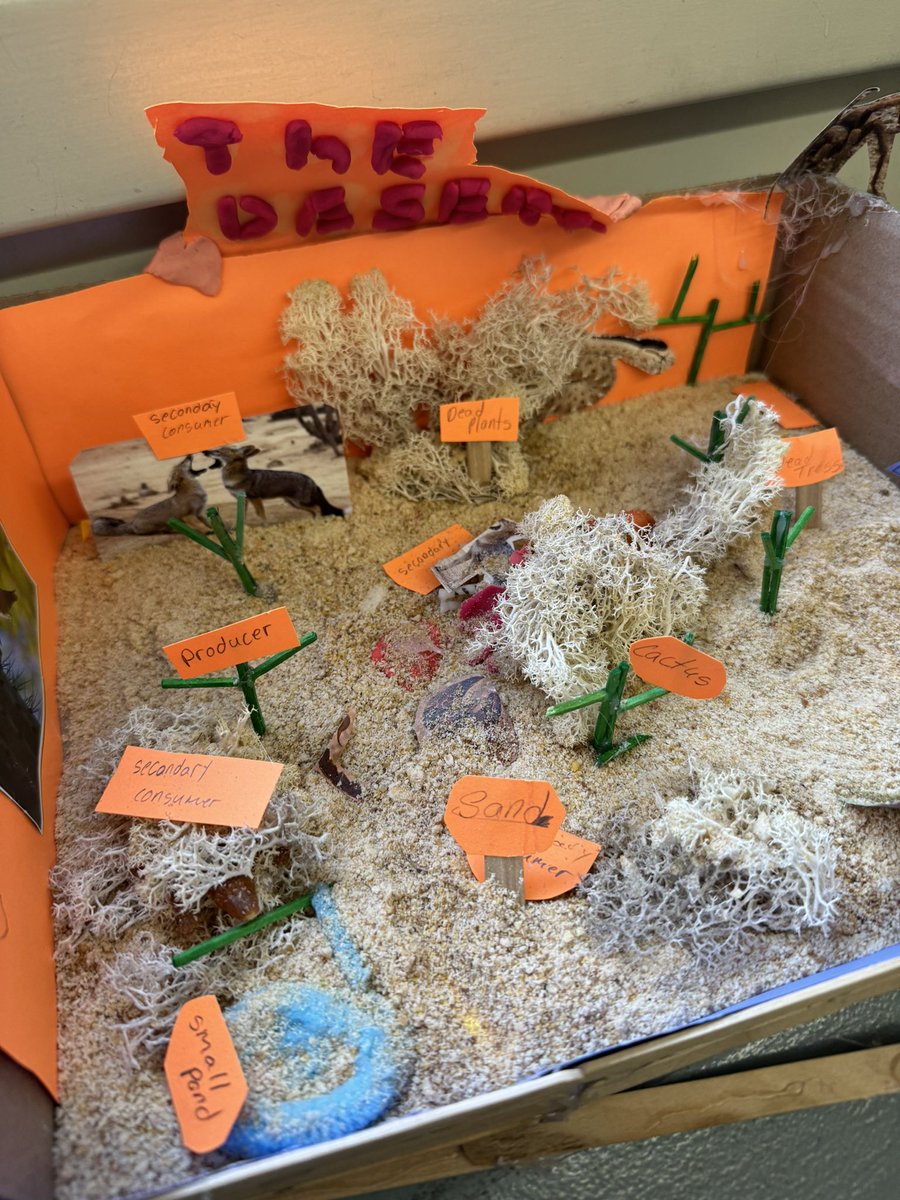 Exploring the wonders of our planet! Our talented students have brought ecosystems from around the world to life with their incredible projects 🌎🌿🦋🐳🐅
