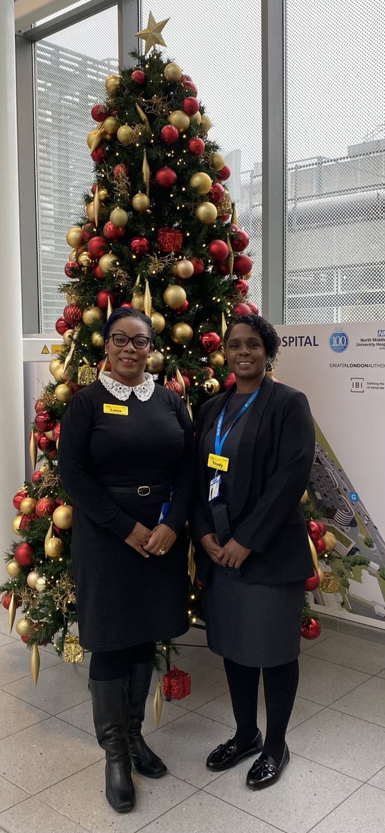 Loving what we do &this beautiful ChristmasTree @NorthMidNHS @NMITCommunity @NM_Improvement #patientexperiece #governance as we look forward to more Gembas#engaging our staff &families#TeamNorthMid