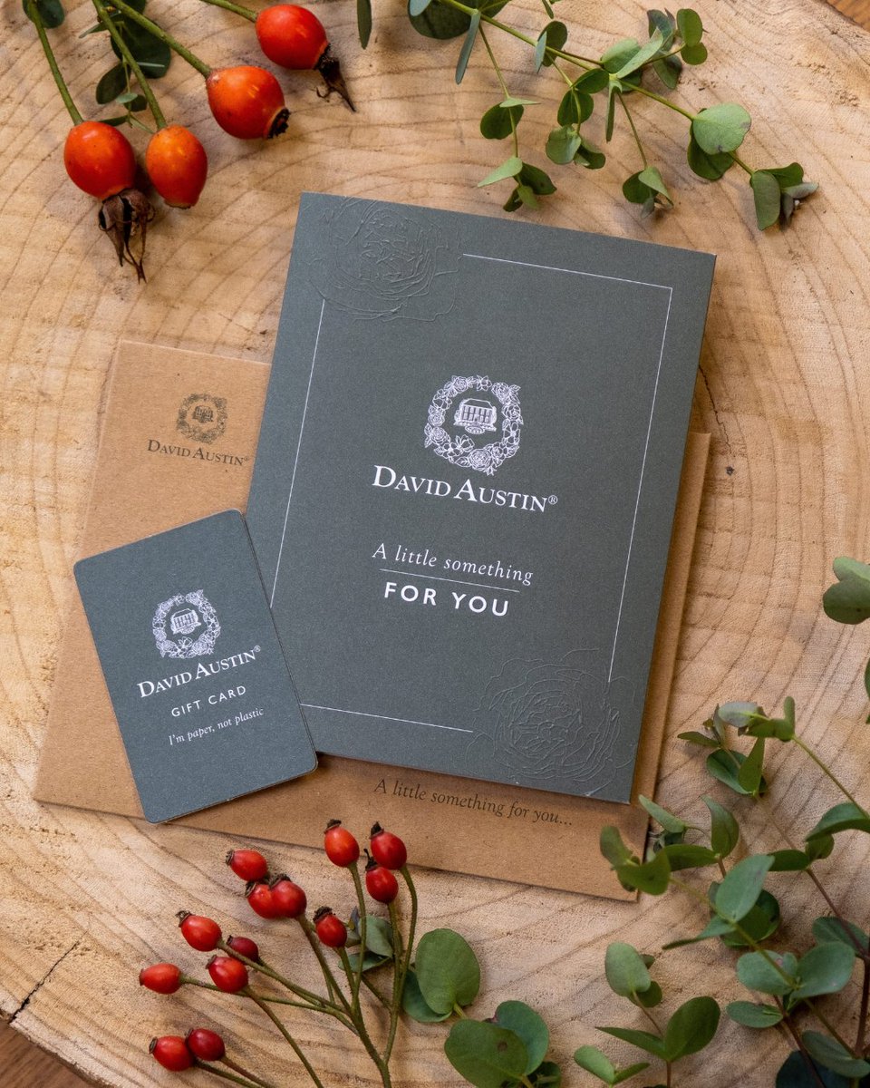 Express your appreciation by letting your loved ones handpick their very own English rose. 🌹 Our luxurious, plastic-free David Austin gift cards are nestled within a greeting card, ready for your heartfelt message. ✉️ Shop gift card collection here - bit.ly/49lgcE5