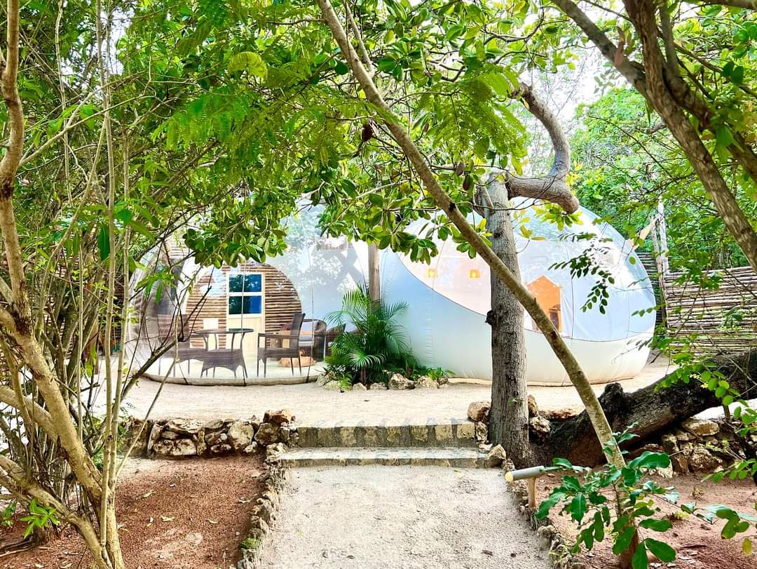 balutraveltd's tweet photo. Rock and Sea Resort, Watamu
✍️Bush Bubble Lodge
#bubblehotelkenya #kilifi #glampingkenya #goodvibes #bubblevibes #bubblehotel #luxury #seaview #bubblelodge #luxuryecolodge #therockandsea #coast #rockandsearesort #watamu #honeymoon #romanticplace #sea #midacreekwatamu #midacreek https://t.co/lcNYtfqQxZ