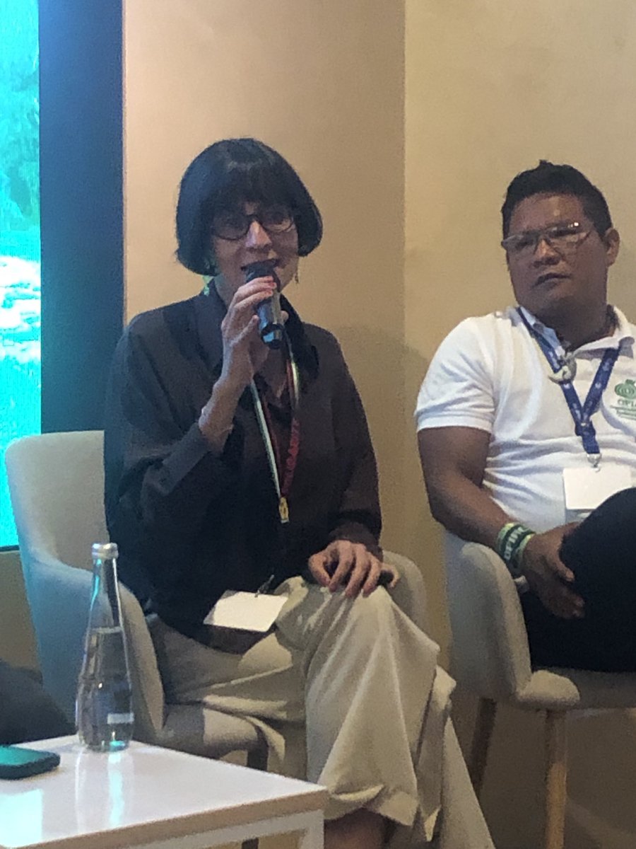 Borghild Tønnessen-Krokan (@borghildkrokan) on Twitter photo The #Amazon is approaching a point of no return where it can collapse, #Colombias minister <a href="/susanamuhamad/">Susana Muhamad</a> warns, recognizing the knowledge, #rights and contributions of #indigenous people and #forest people to save the #rainforest and combat #climatechange in time.#COP28 The #Amazon is approaching a point of no return where it can collapse, #Colombias minister <a href="/susanamuhamad/">Susana Muhamad</a> warns, recognizing the knowledge, #rights and contributions of #indigenous people and #forest people to save the #rainforest and combat #climatechange in time.#COP28
