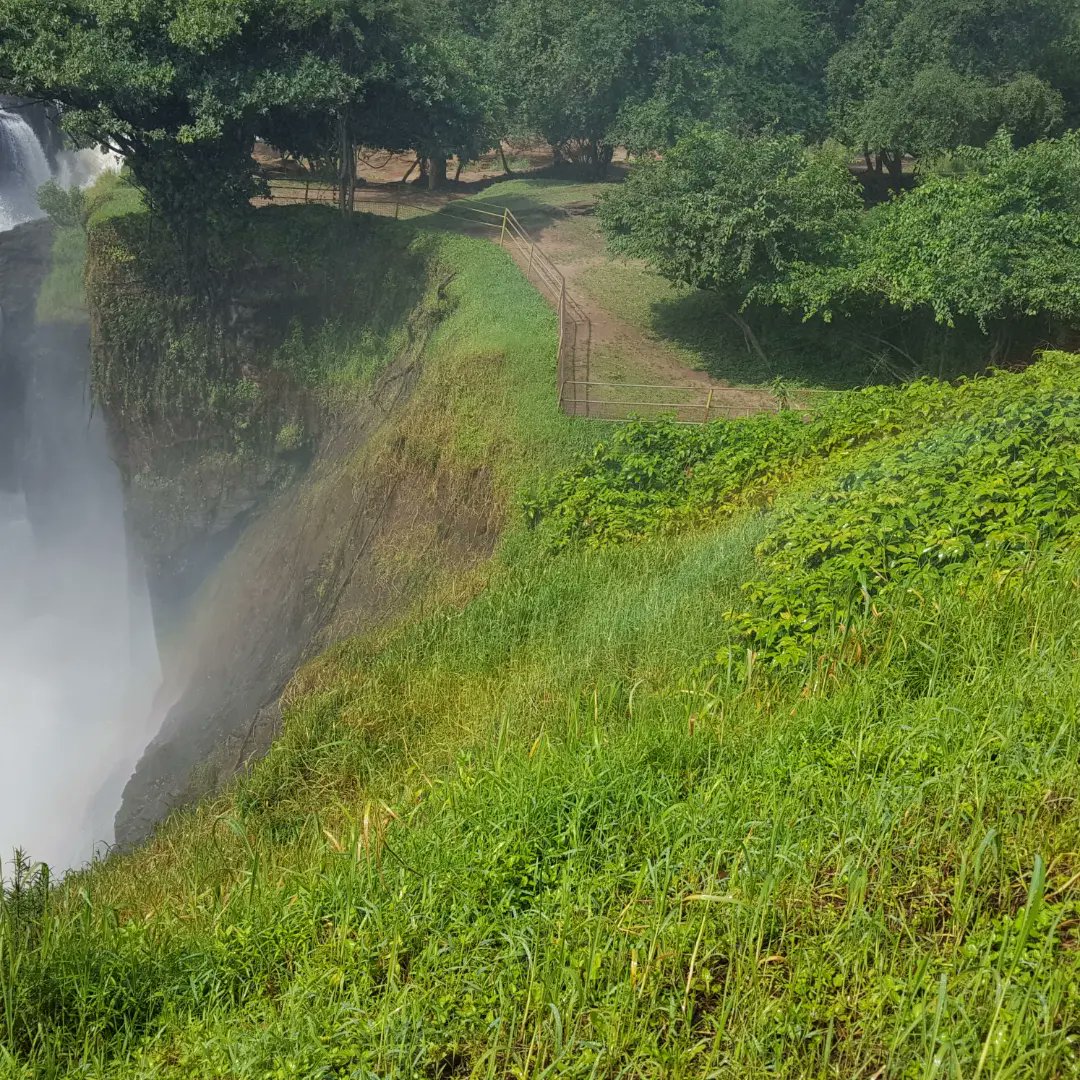 Murchison Falls National Park tweet media