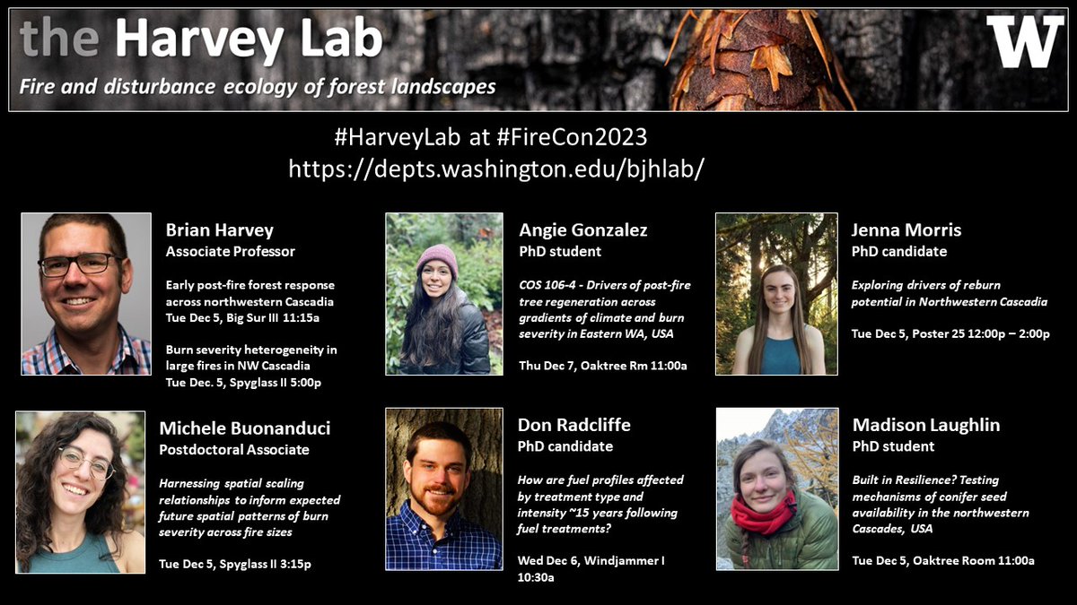 Brian J Harvey tweet media